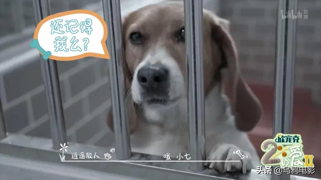 b站必看的综艺,b站能看的综艺推荐