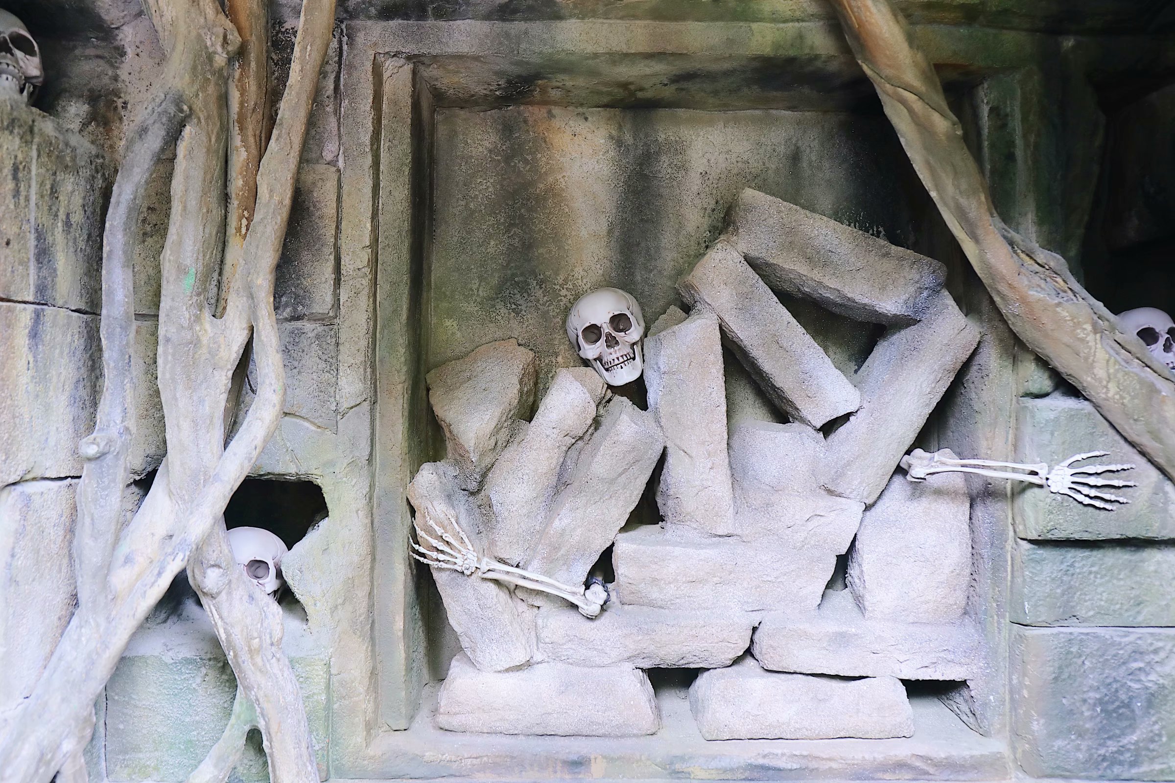 苏州乐园森林水世界几月份开始,乐园森林世界手游攻略