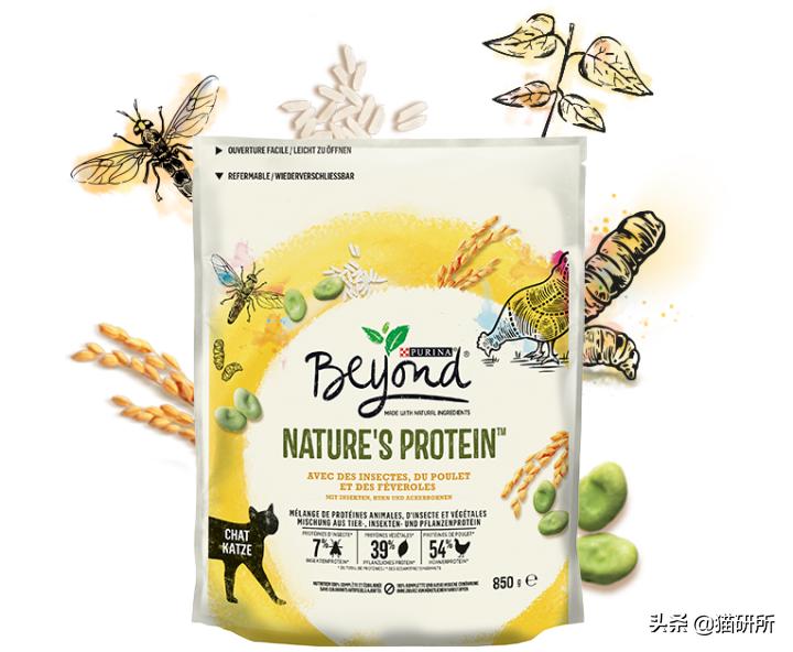 猫咪可以喂自制猫粮吗,用虫子做的食物