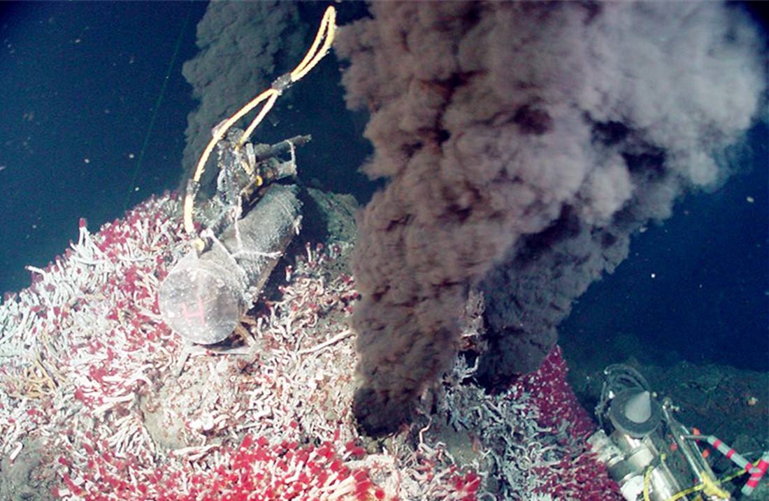 450℃海底热泉旁生活着的大虾，该如何才能煮熟？