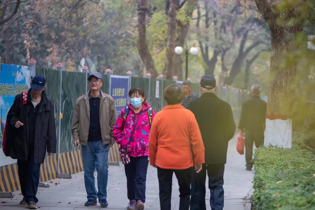 西安莲湖公园晨跑,西安莲湖公园散步
