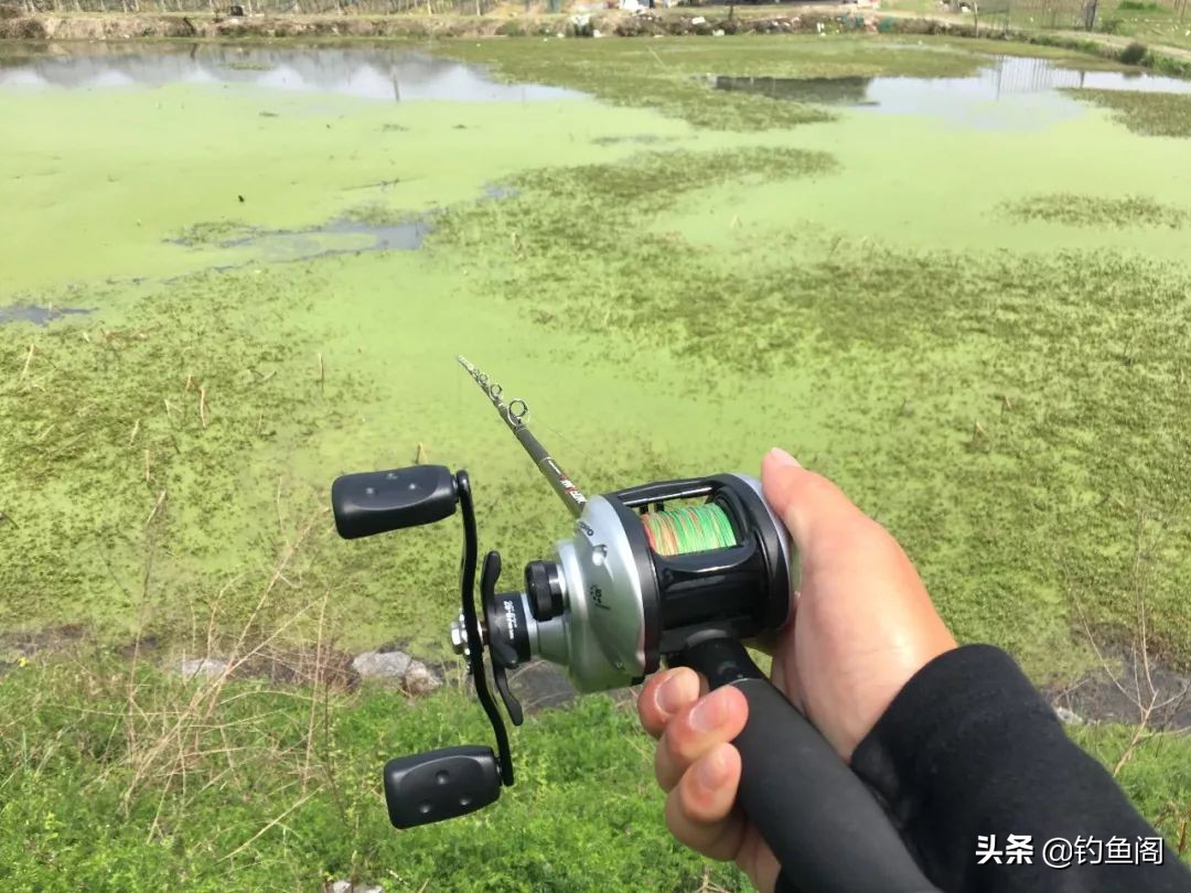 路亚新手钓黑鱼装备推荐,路亚黑鱼纺车轮选3000还是4000