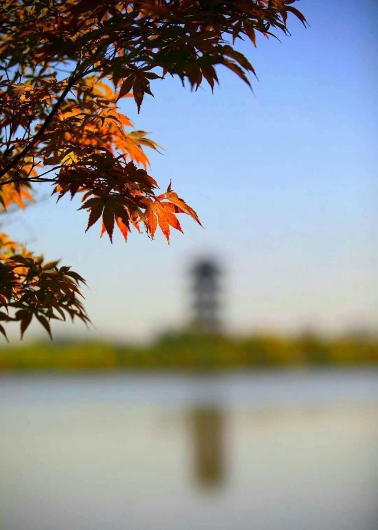 临颍：摄影家大咖走进三高，现场传授摄影秘籍