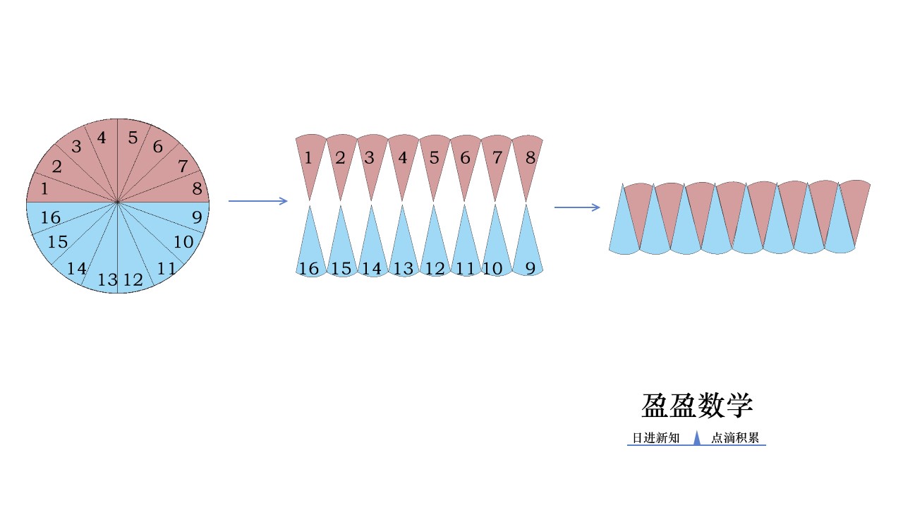 数学六年级（上）第五单元圆习题集锦