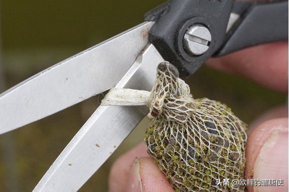 老外钓鱼打窝,老外打窝钓鱼视频大全