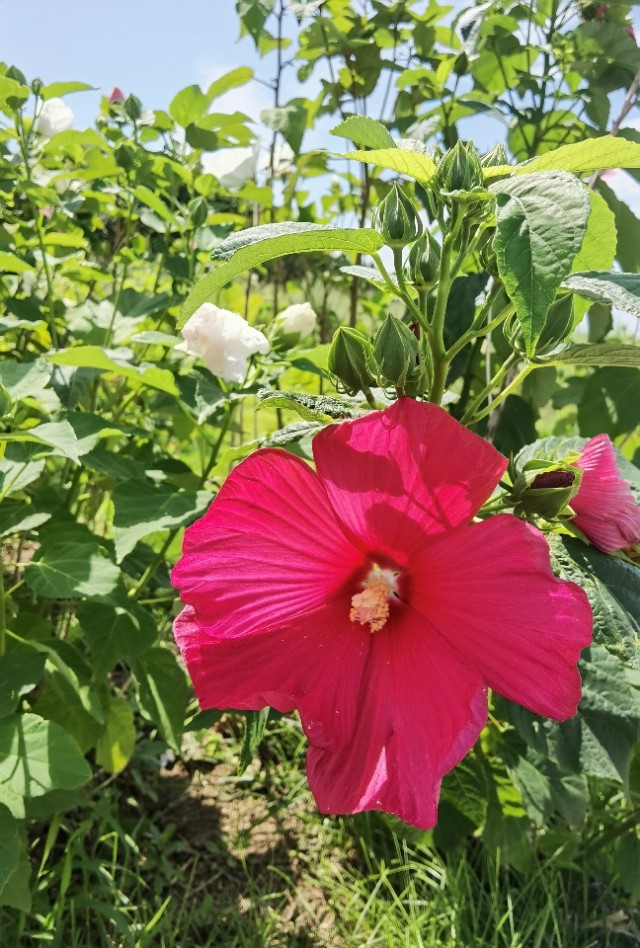 济南到荣成三日游路线规划,济南至荣成高铁时刻表
