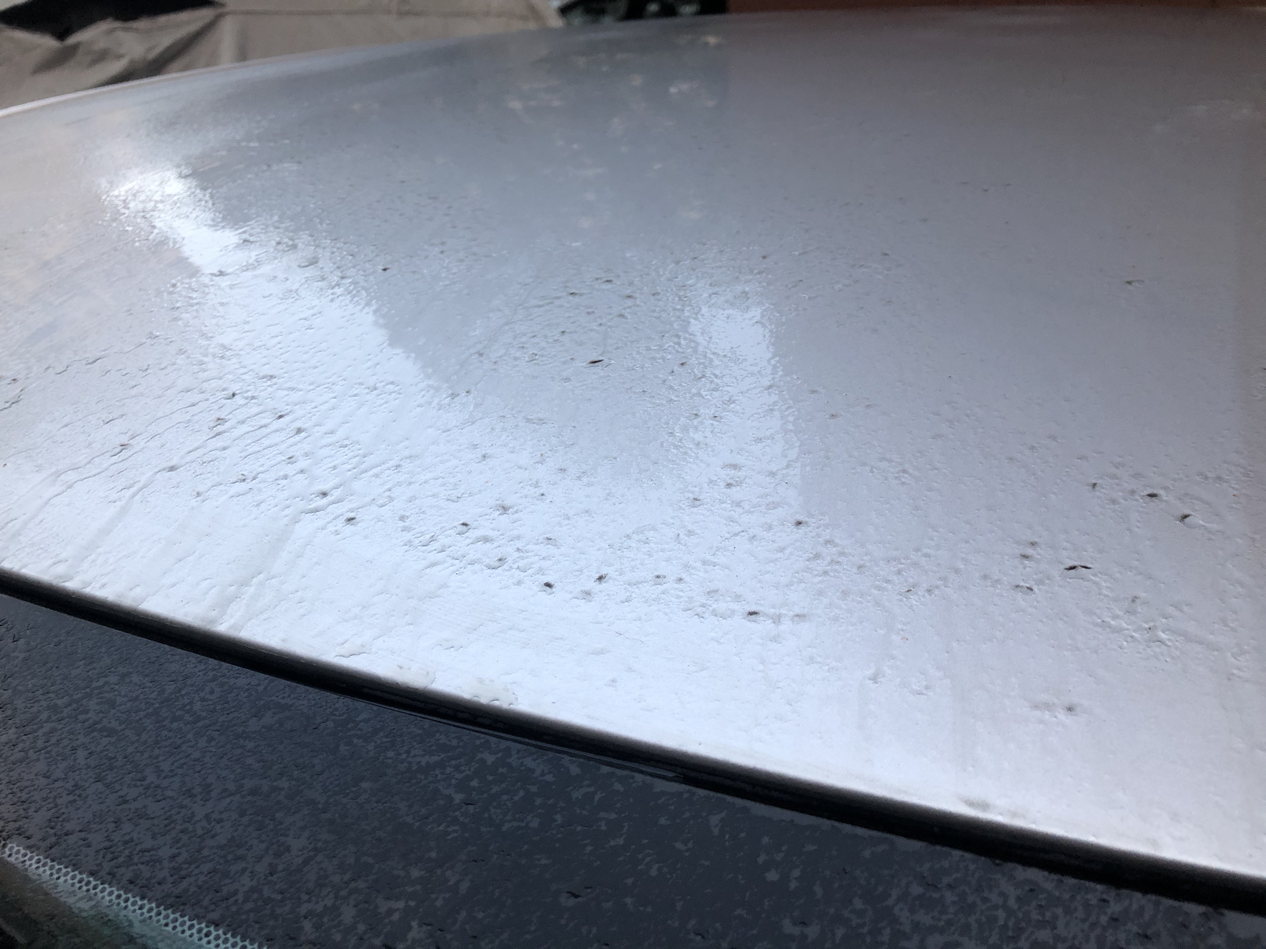 冬天如何自己洗车又快又干净,冬天在家自己洗车最简单的方法