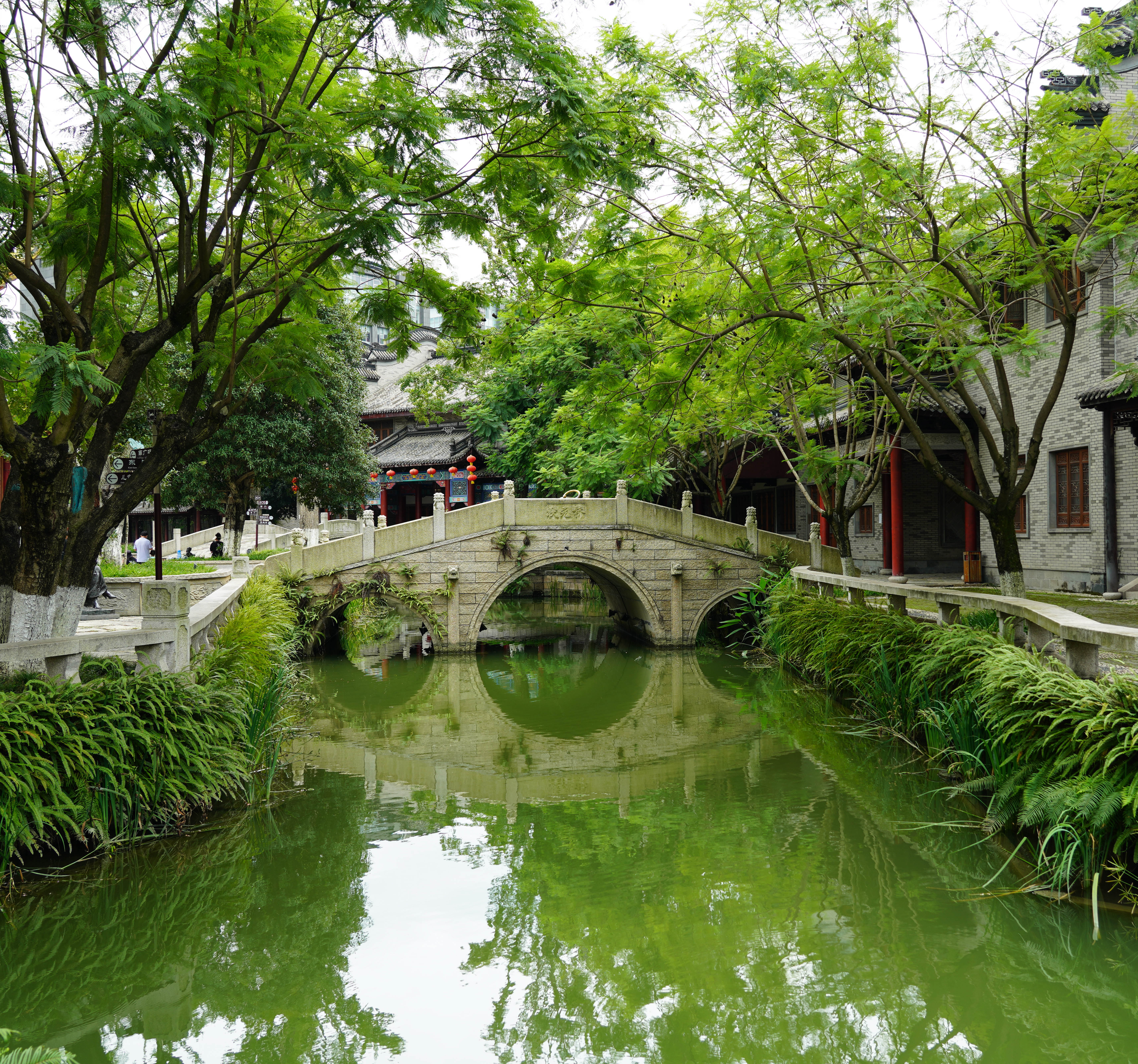 成都市龙潭水乡简介,成都龙潭水乡古镇