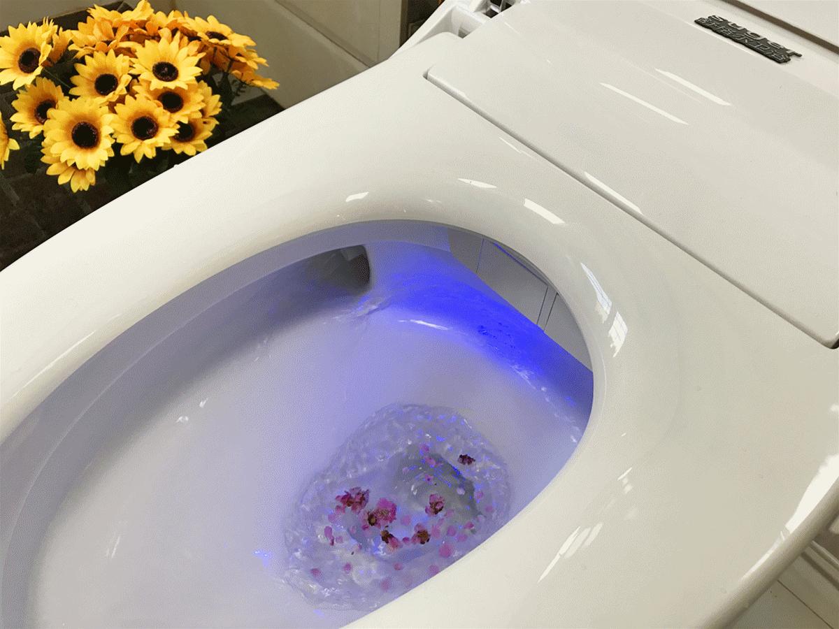 有使用了智能马桶后悔的吗,第一次智能马桶使用后真实感受