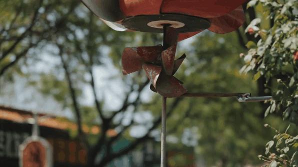 聊城哪里一条街都是饭店,聊城热闹的一条街