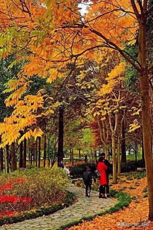 美丽的水乡周庄完整版,美丽的江南水乡充满诗情画意