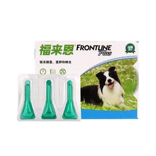 蚊香对猫来说有剧毒？那么夏天该如何驱赶蚊子呢？