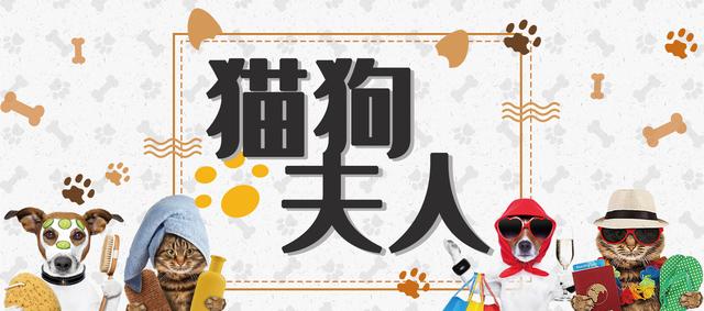 犬贾第鞭毛虫简介,犬贾第鞭毛虫