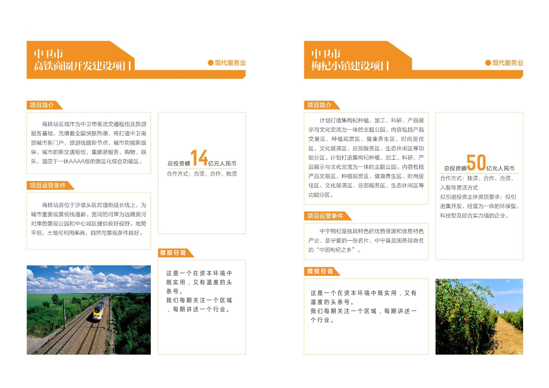 西部产业园项目,西部投资集团代表项目