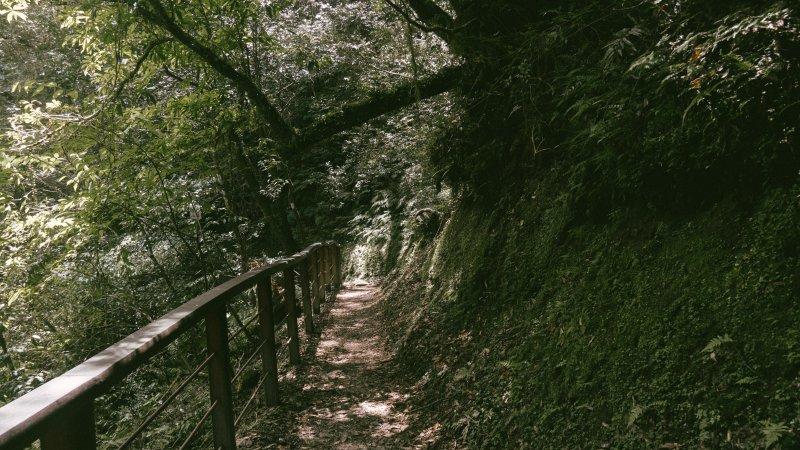 lasportiva雪地登山鞋31b,lasportiva户外登山鞋