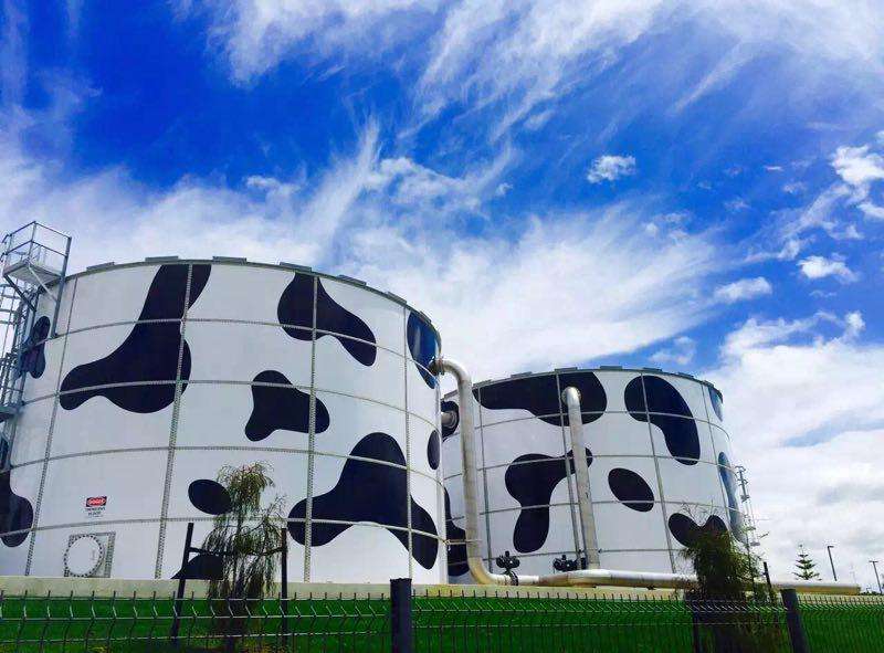 常喝酸奶对身体有什么好处,常喝酸奶有什么好处