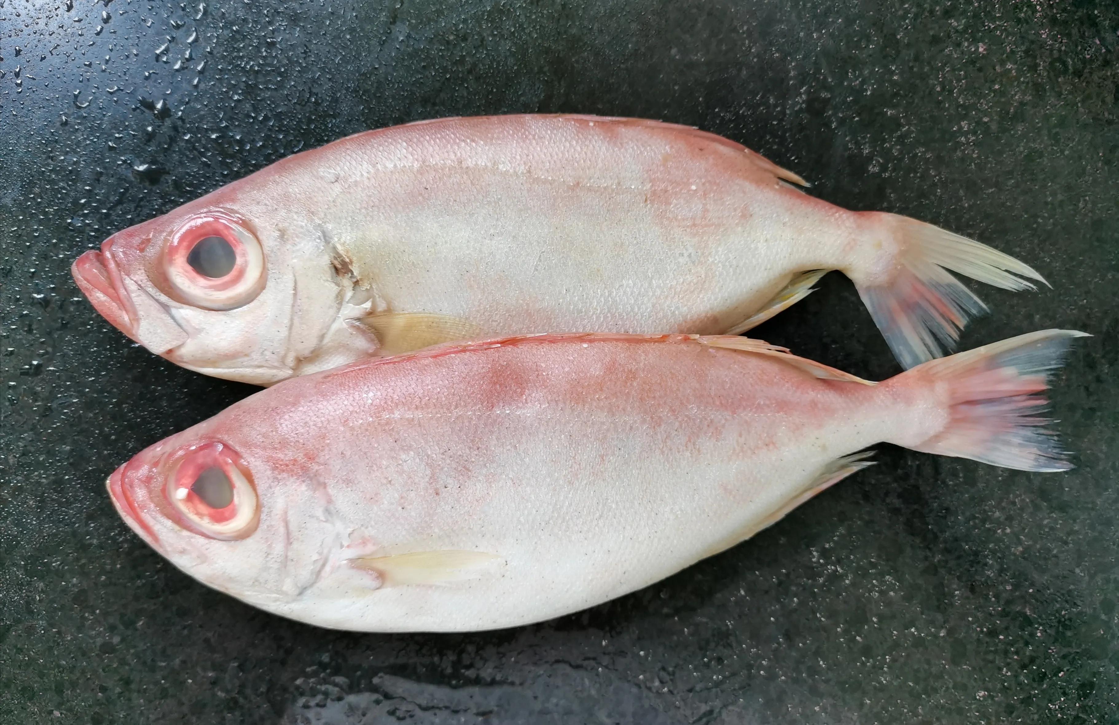 潮汕什么鱼做刺身最好吃,潮汕的鱼哪种适合刺身