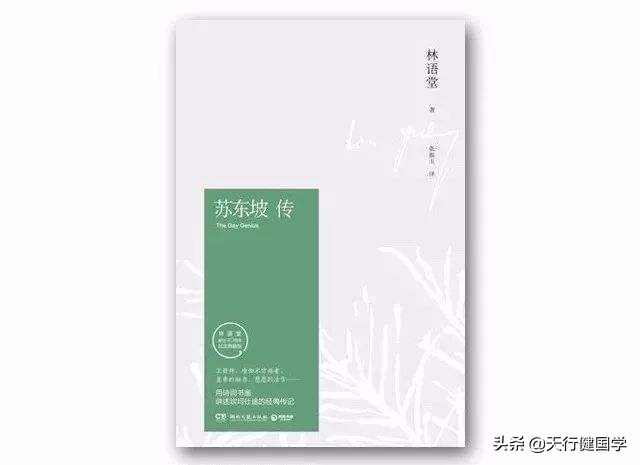 深度讲解苏东坡,苏东坡一蓑烟雨任平生翻译