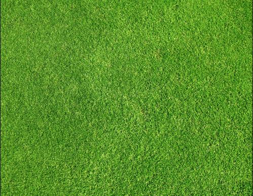 广泛肠上皮化生与肠上皮化生区别,肠上皮化生一定会癌变吗