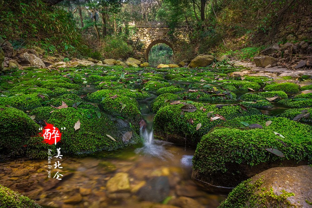 家在北仑,我有一个家北仑