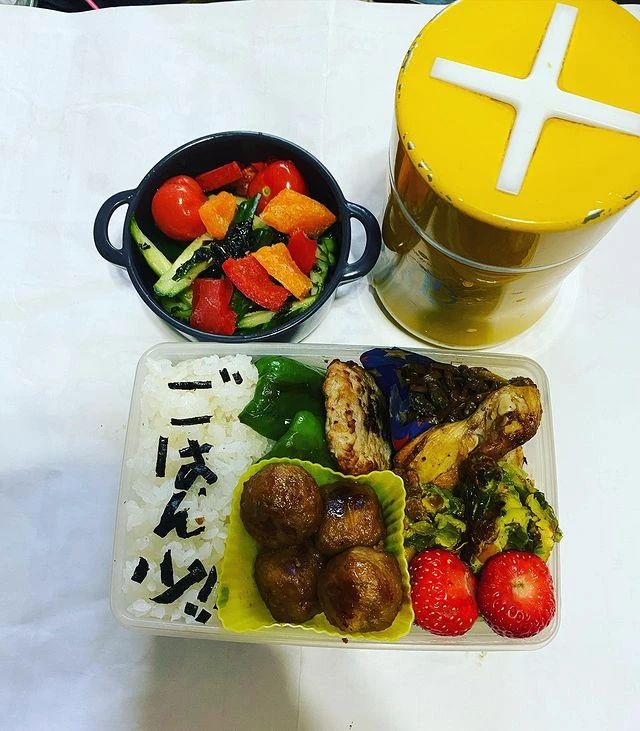 日本盒饭便当,日本便当盒饭