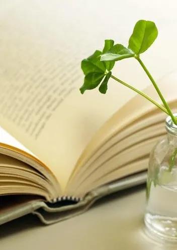 行走在书中的猫,行走在书中作文