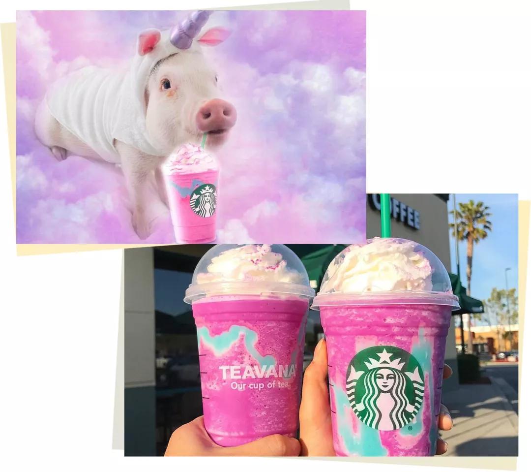 网红奶茶大盘点，高颜值又好喝赶紧做功课