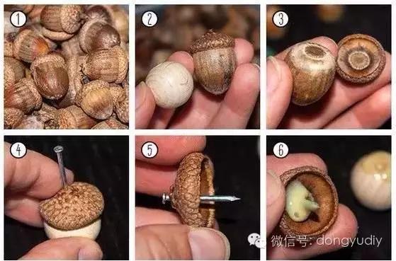 坚果壳艺术品,坚果壳能拿来做什么