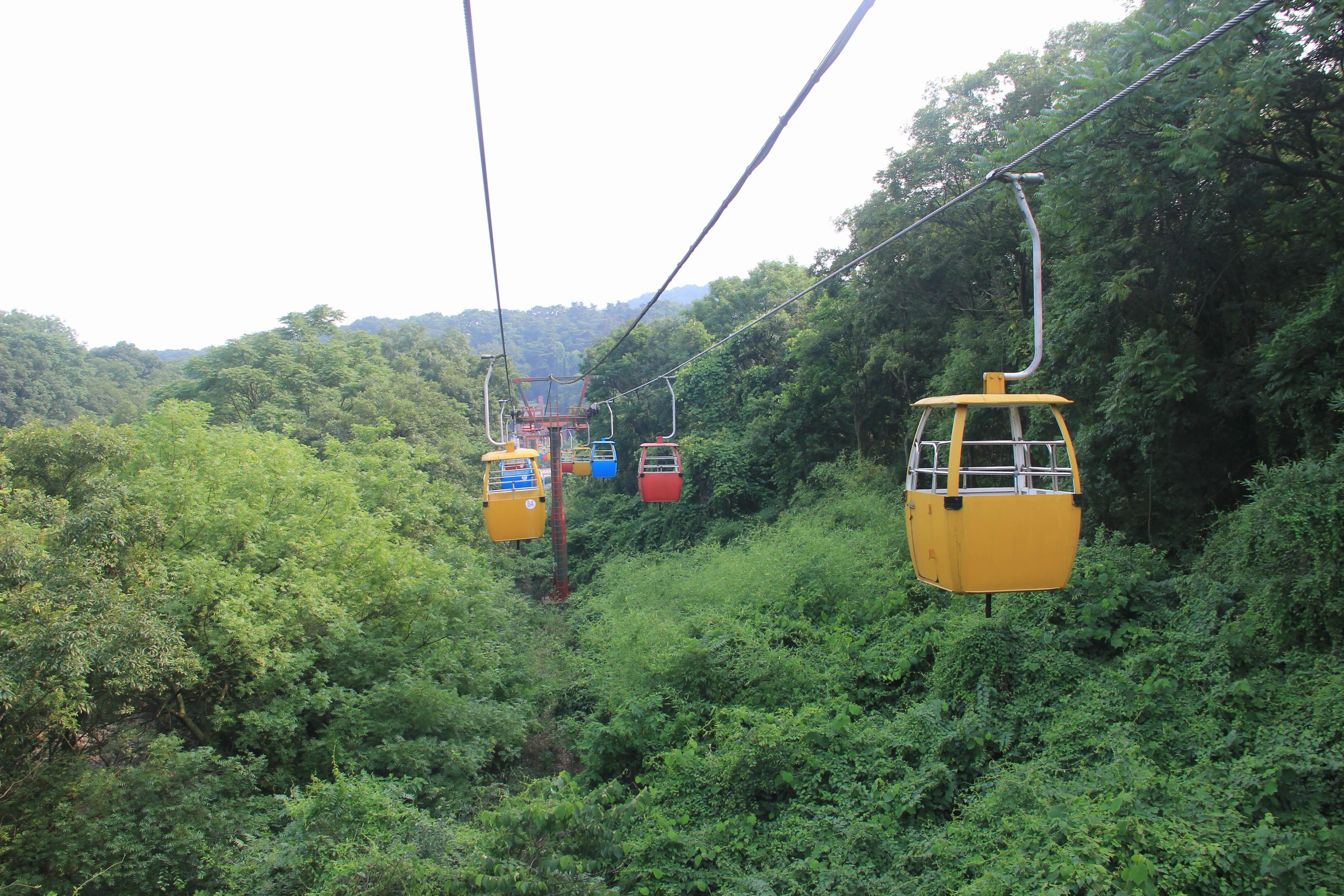 南京珍珠泉门票,南京珍珠泉野生动物园