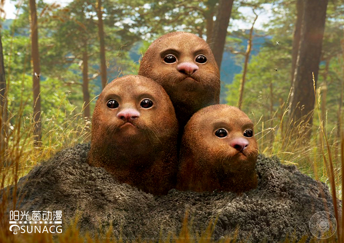 宠物小精灵哪个神奇宝贝最厉害,宠物小精灵里面稀有的神奇宝贝