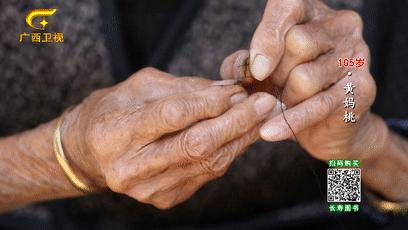 巴马长寿村10年候鸟人真实现状,最新巴马候鸟人真实讲述