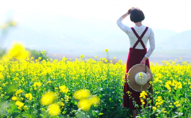 杨万里最经典的一首诗，只有四句，却是一生最美好的回忆！