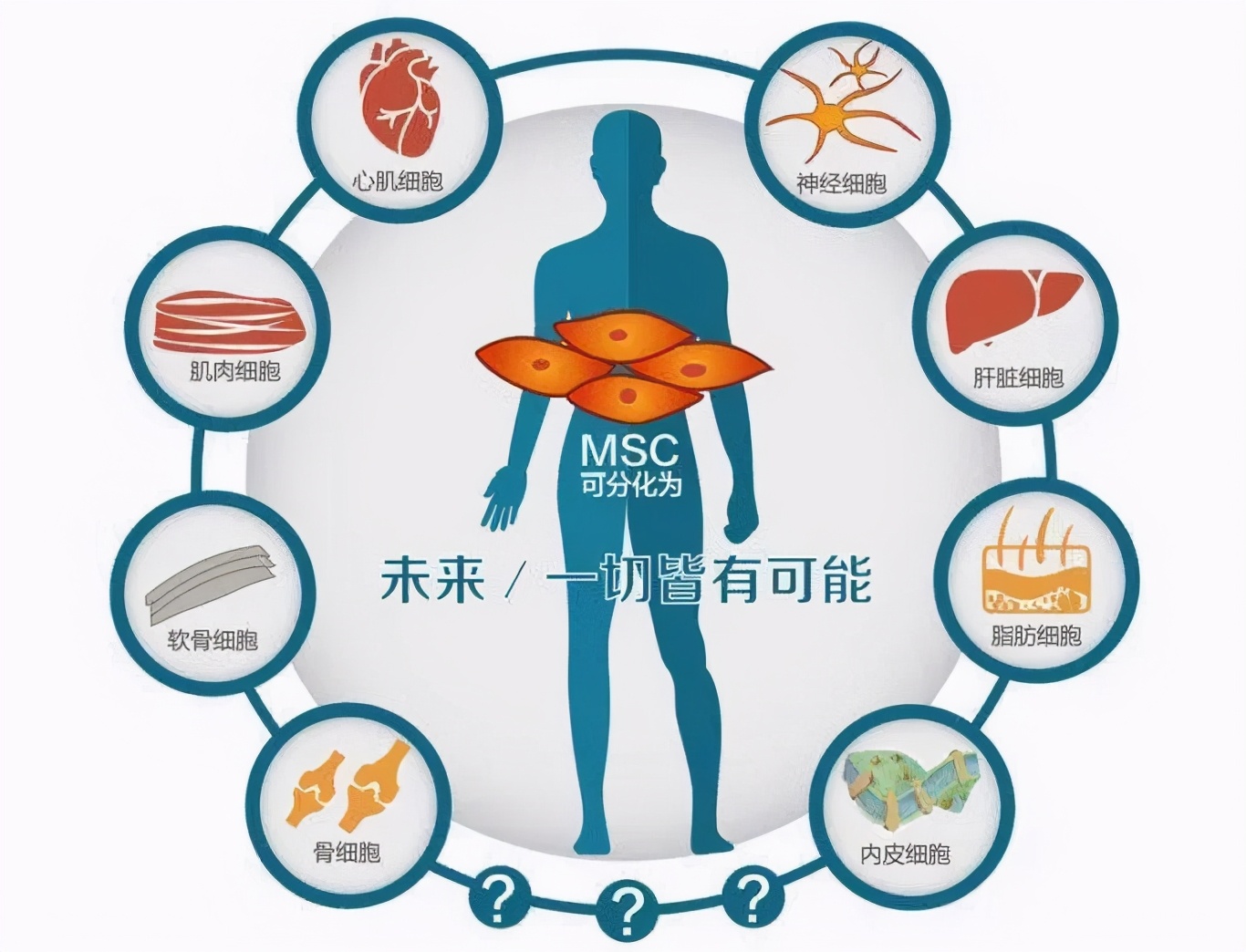 40岁更年期提前有办法逆转吗,干细胞治疗更年期成功的例子