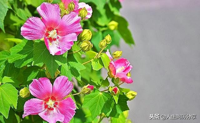 人生格言正能量励志名句简短,励志短句正能量名人名言