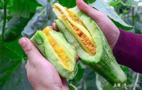 这个夏天绝不能错过的高营养水果,夏季最不容错过的4种水果