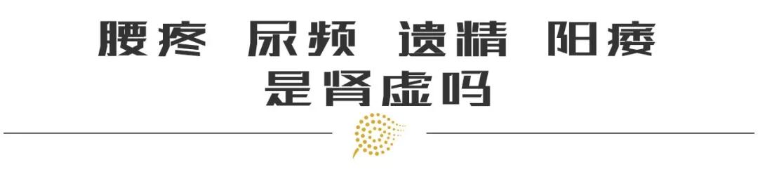 尿频、遗精、阳痿、腰疼，是肾虚吗？怎么防肾功能不全，治阳痿？