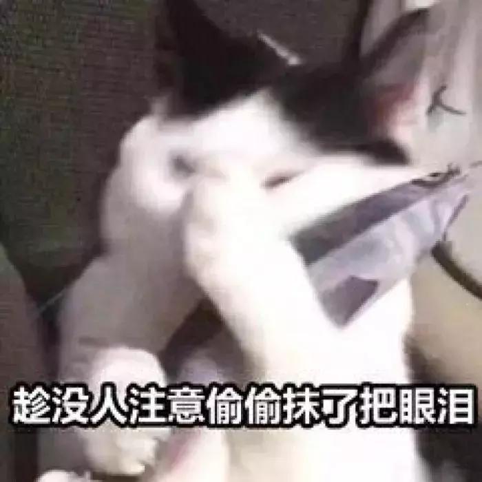 你知道淘宝还有这个功能吗,淘宝隐藏功能一览表