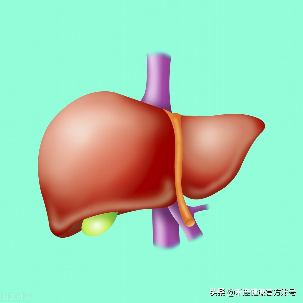 身上长小红点是肝不好吗,肝出什么问题身上会有小红点