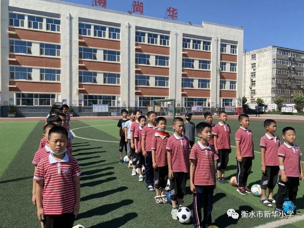 社团活动小学兴趣小组,新华小学三年级参加兴趣小组