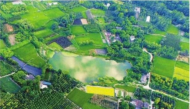 农业观光生态园发展前景,隆阳区金鸡万亩观光生态园地址