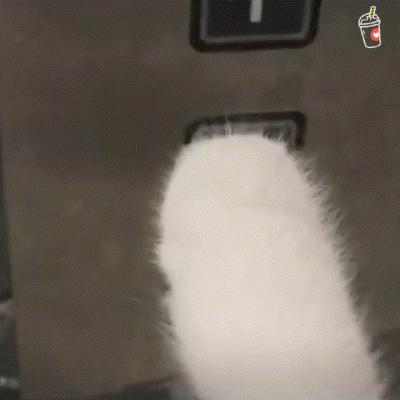 春日对对碰魅力香水,春日气息香水推荐