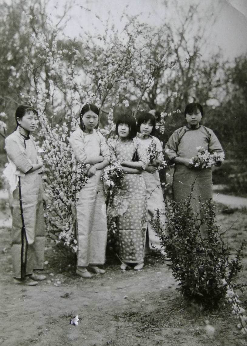 李善人的故事视频,李善人的家族兴衰史