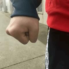 网上买的猫运回来死了,网上买猫三天送到半夜死了