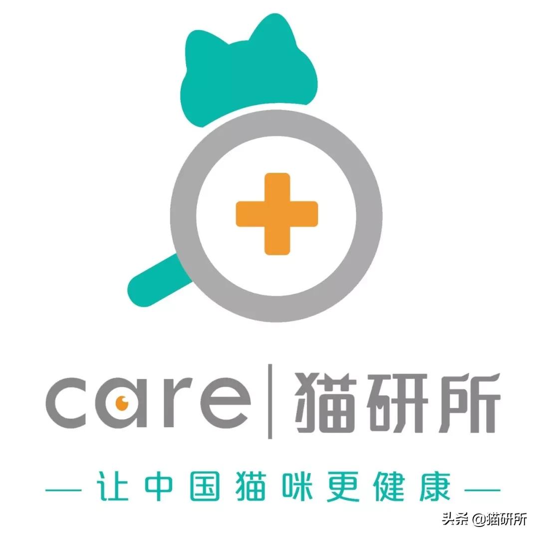 宠物猫植入芯片有什么要注意的,猫咪植入芯片注意事项