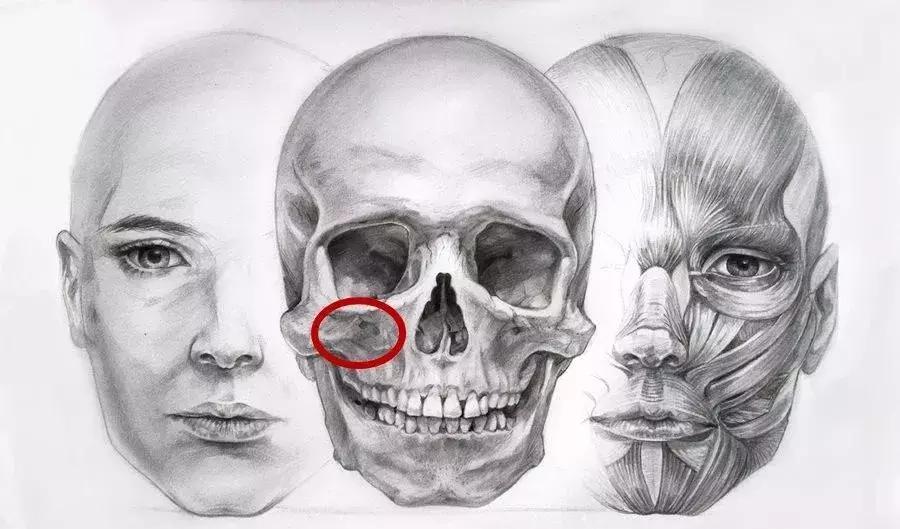 俞飞鸿颧骨抗老,高颧骨俞飞鸿