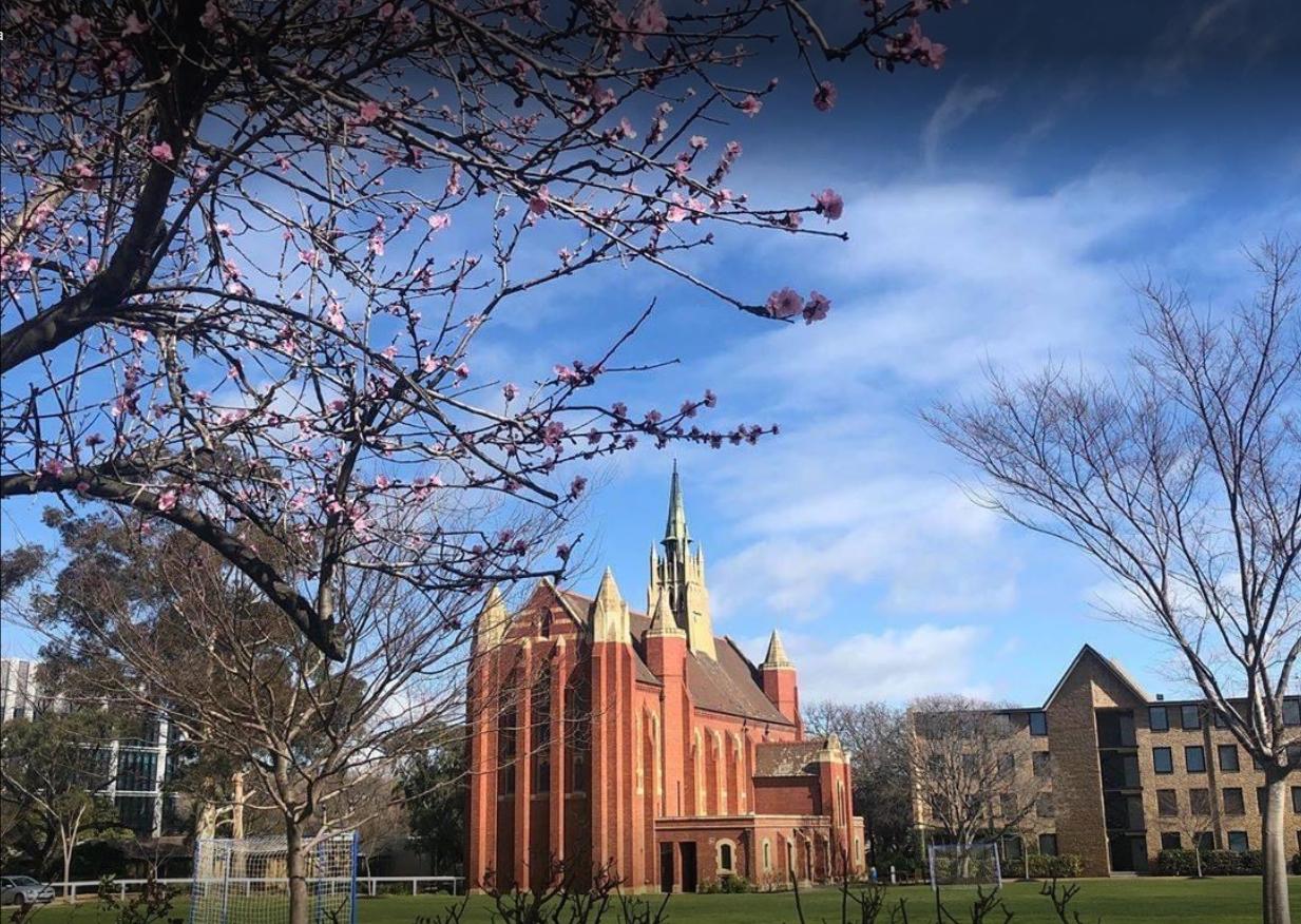 澳洲教育怎么样?墨尔本的大学好吗?去那边学习压力大吗?