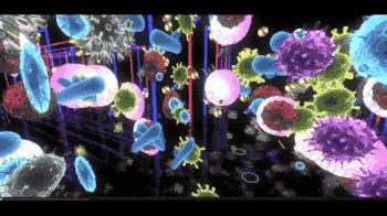 肚脐眼到底能不能抠呢,肚脐眼到底能不能抠小实验