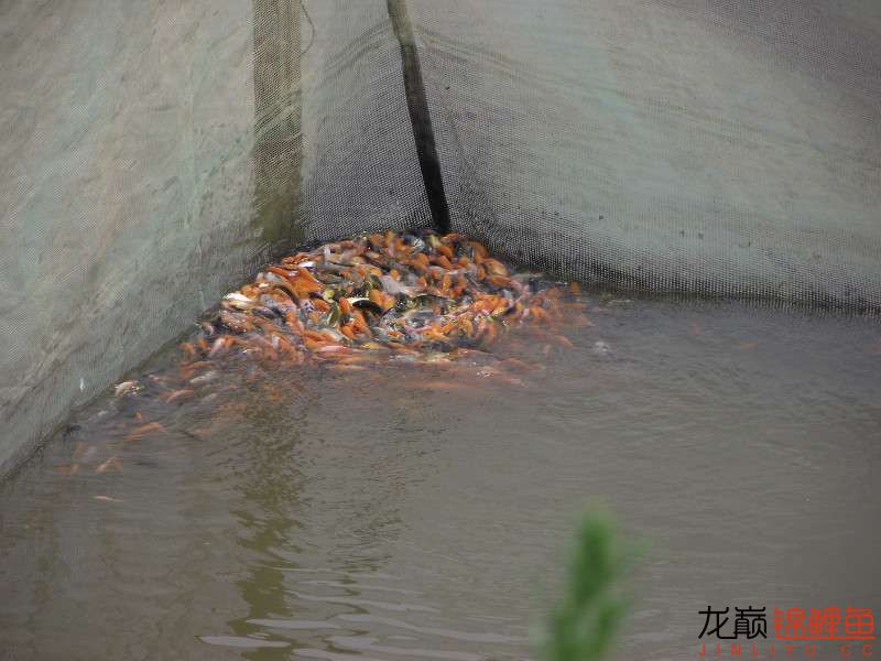 开渔场赚钱吗,开渔场需要多少资金