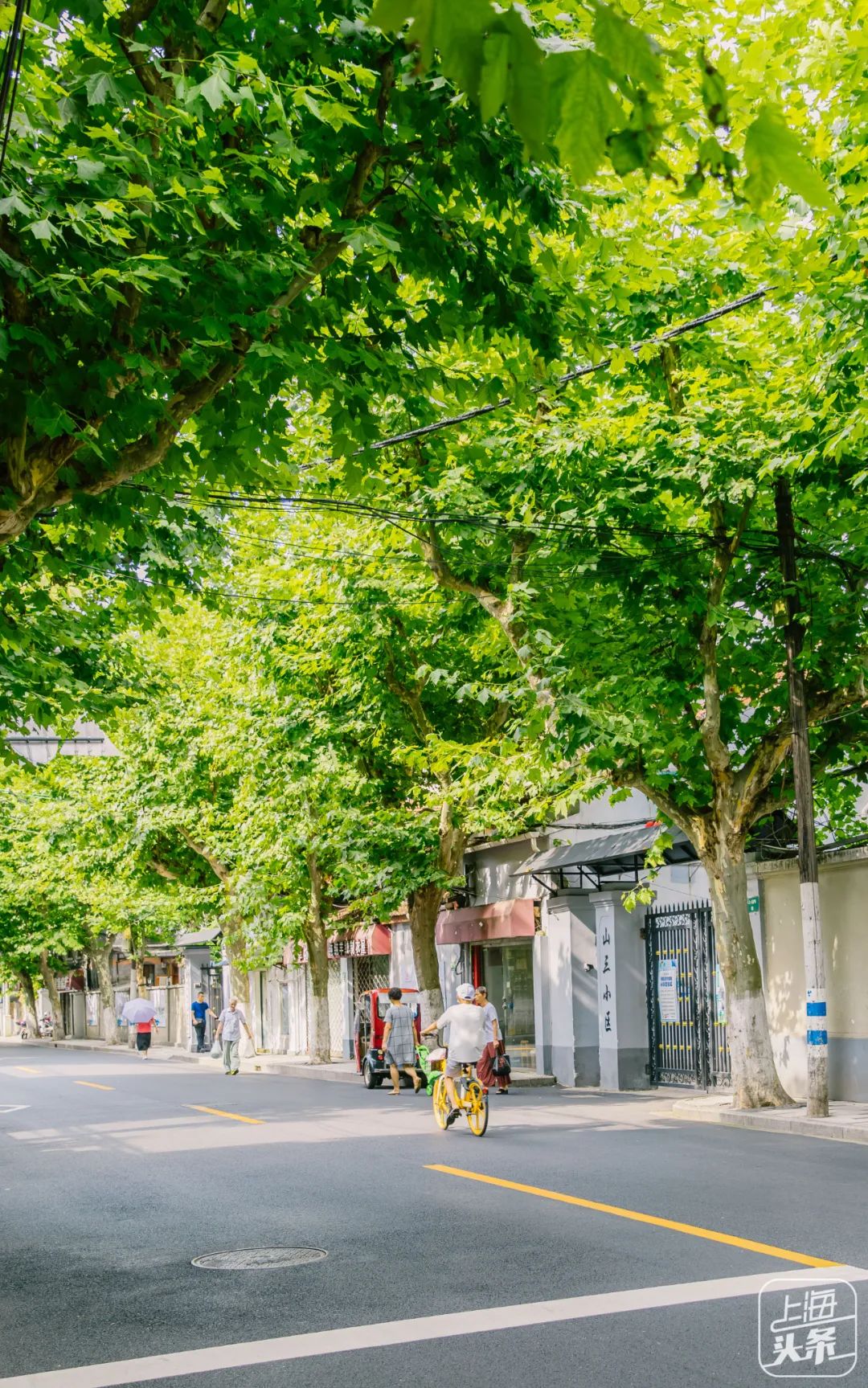 上海99条永不拓宽的路,上海永不拓宽的风貌路