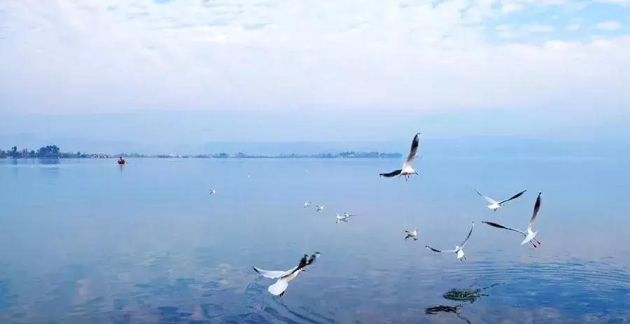 四川凉山邛海风景图片,凉山州邛海风景